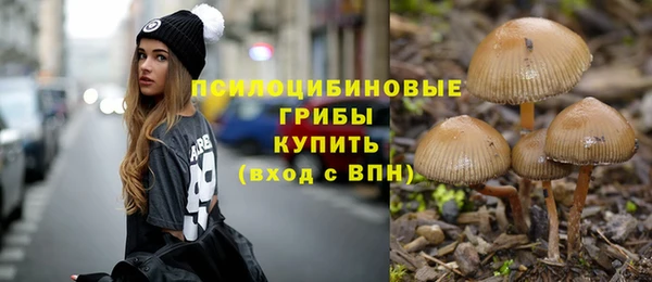 a pvp Бородино