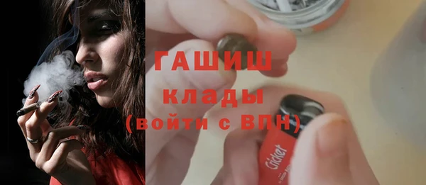 a pvp Бородино