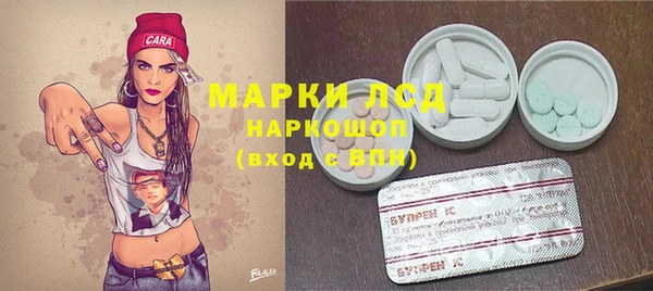 a pvp Бородино