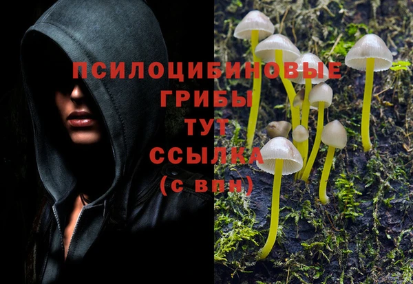 a pvp Бородино
